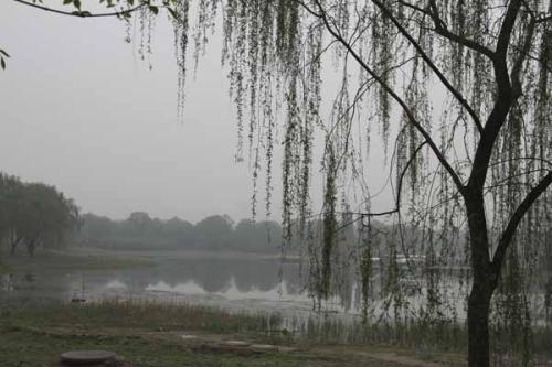 那个毛毛雨的下午