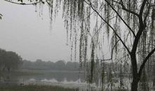 那个细雨濛濛的下午