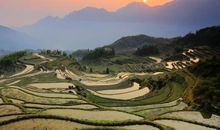 美丽的丽水梯田