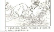 智过女儿国读后感