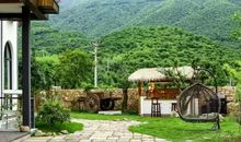 我在庭院看太阳