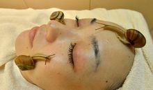 我爱家中的白玉蜗牛