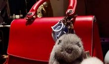 难忘的一次“厨师”经历