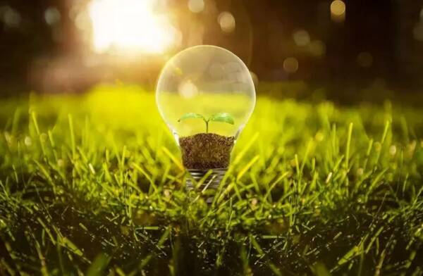 老师成长的灯塔