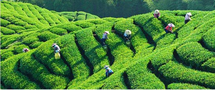 内心难忘的温暖