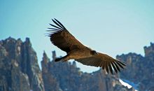 不可思议的发现