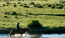 第一次去大草原