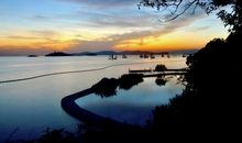 难忘的初中岁月