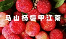 你来了，天便晴了