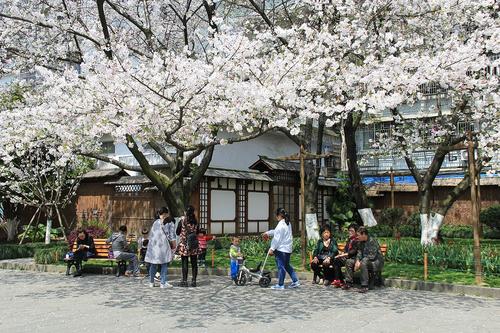 马鞍池公园