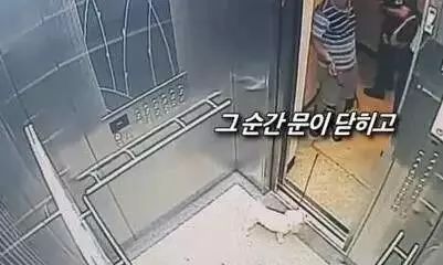 电梯惊险