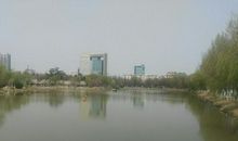 方位顺序写苍梧绿园的作文