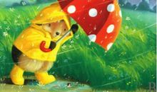 雨中的森林联欢会