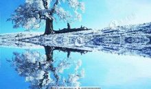 那年冬天那场雪