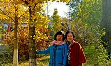 我和秋有个约会