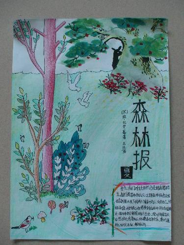 爷爷的森林读书