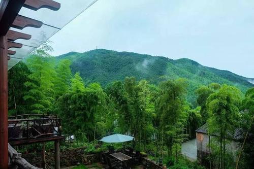 爬莫干山