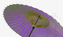 紫色太阳伞
