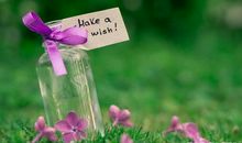 剪一段悠扬的时光