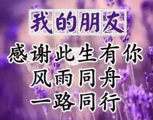 朋友，有你真高兴