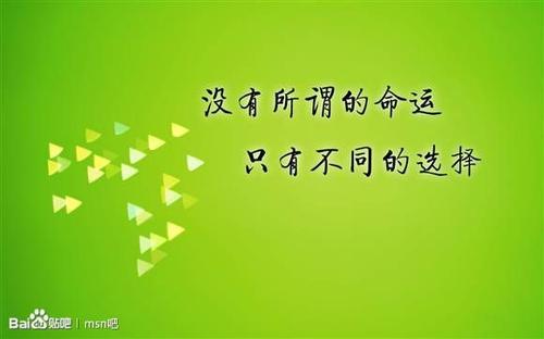 信任与声誉