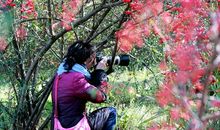 冬日那一抹坚强