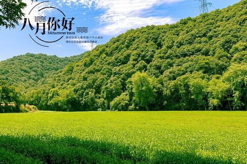 七月见，八月问好！