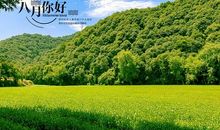 七月再见，八月你好！