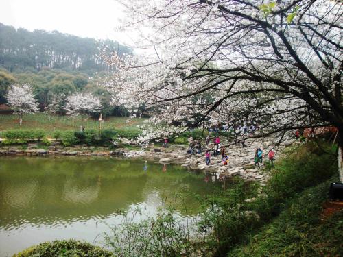 周末风景很好