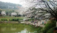 正是周末好风景