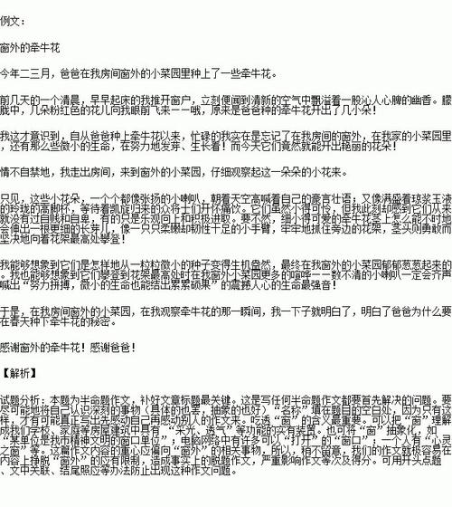 600字写窗外风景