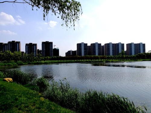美丽的凤起湖