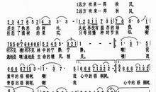 关于梧桐树的作文