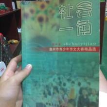 社会的一个角落