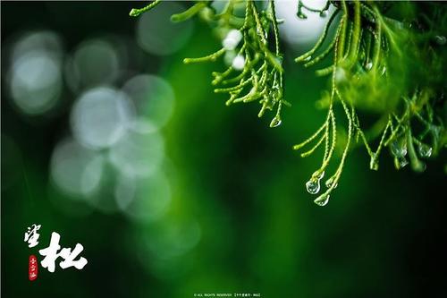 真是下雨