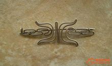 放飞的画眉鸟读后感