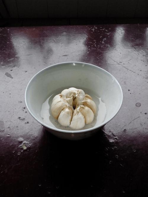 大蒜观察笔记