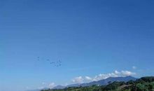 春雨后的江滩公园