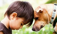 人与动物和谐共处