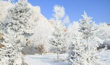 寒冬将逝，暖春将至