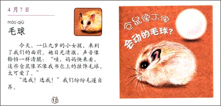 观察仓鼠日记