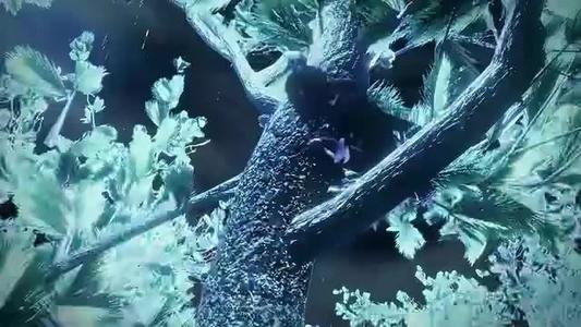选择中成长