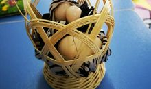 有趣的“护蛋行动”