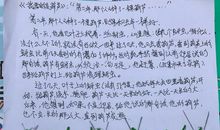 我要的是葫芦第二年续写