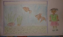 小动物观察日记