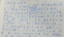 仿写珍珠鸟写小狗作文