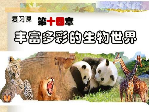 多彩的世界