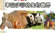 丰富多彩的世界