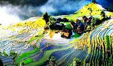 美丽的丽水云和梯田