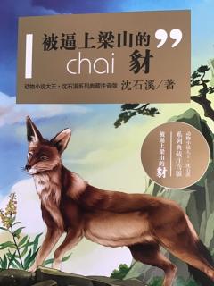 看完逼梁山的jack狼
